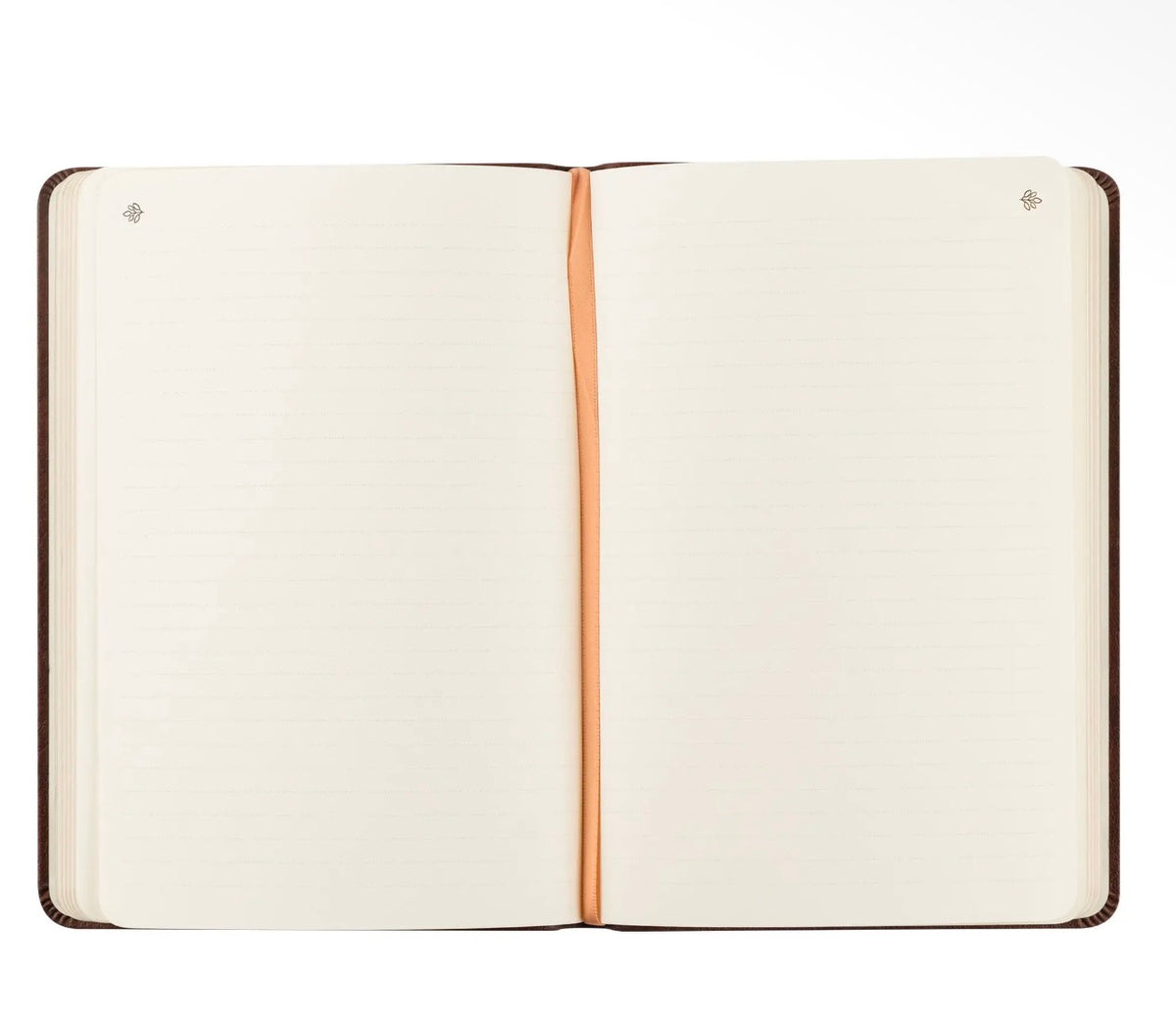 Palma Notebook