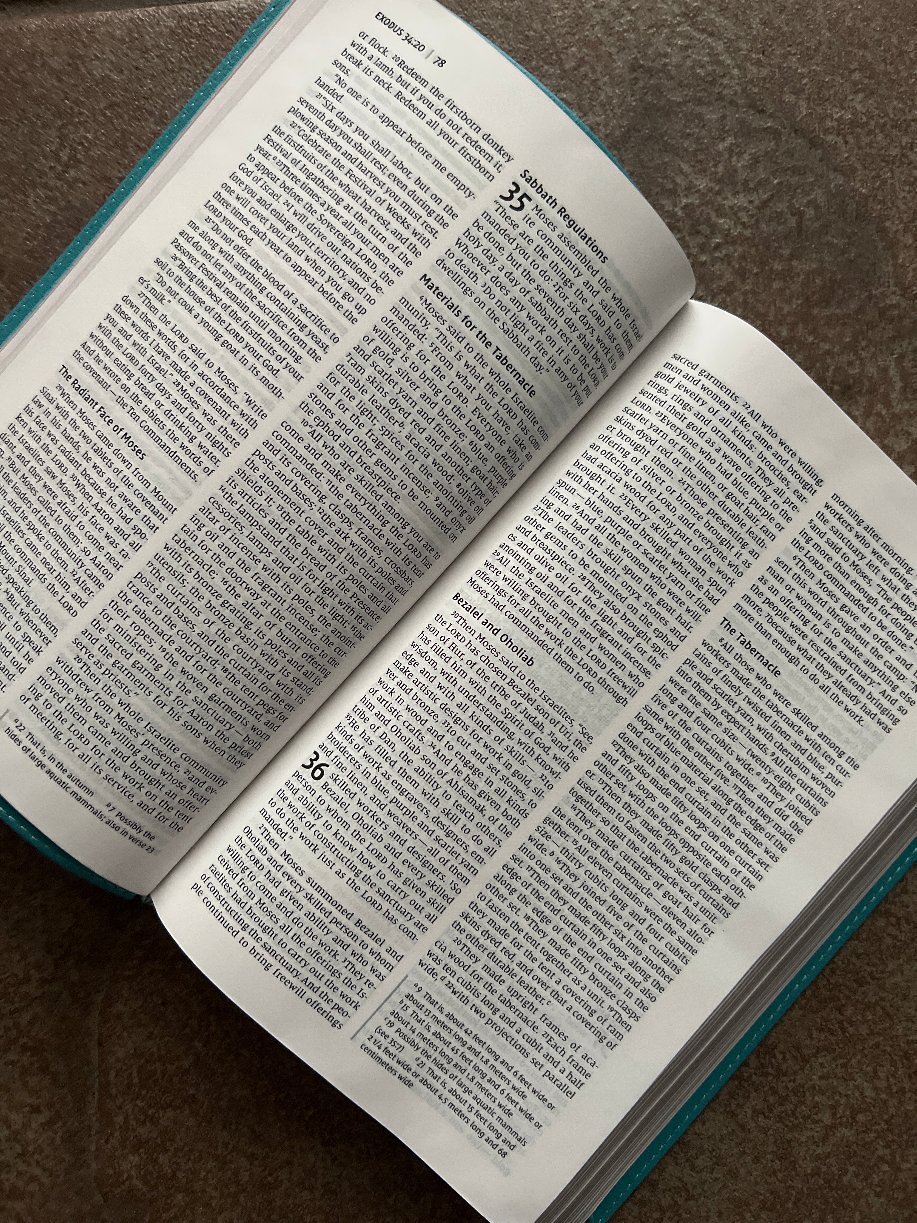 Busy Mom’s Bible