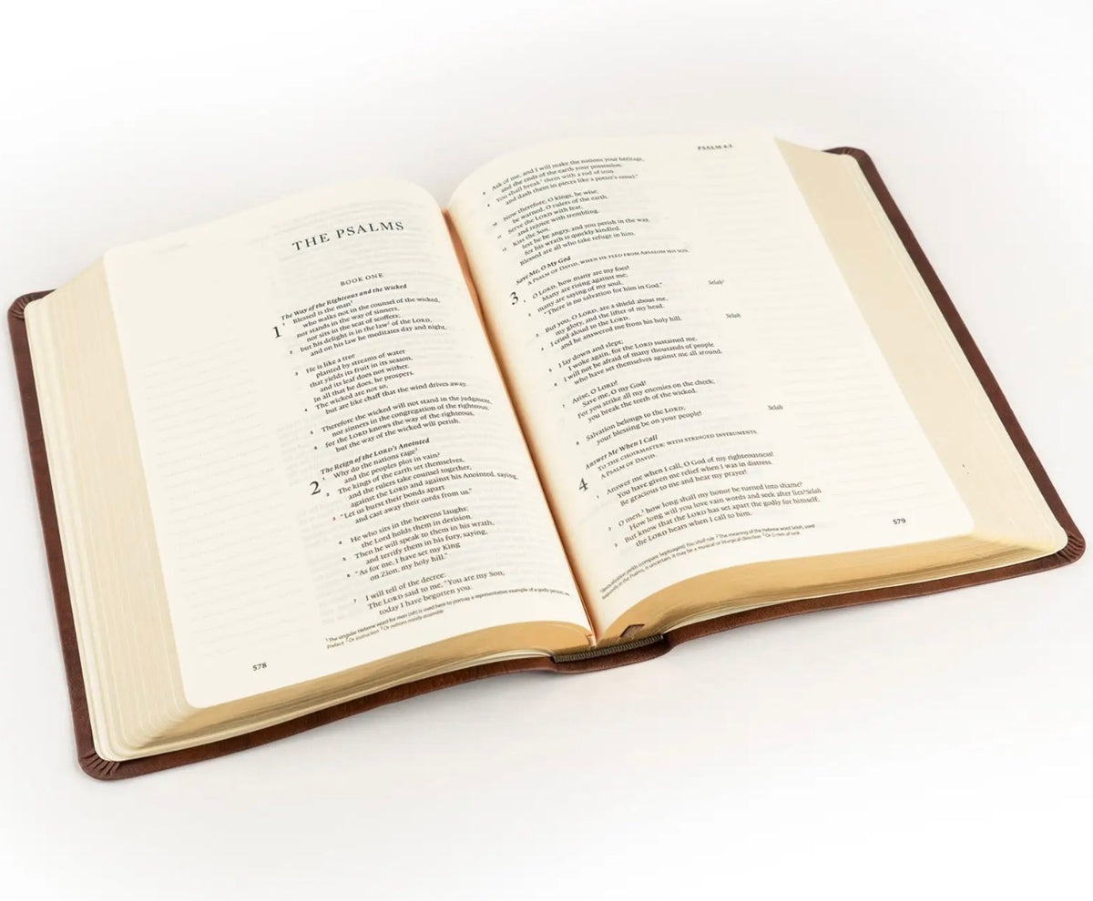 ESV Bible Palma Journaling Bible