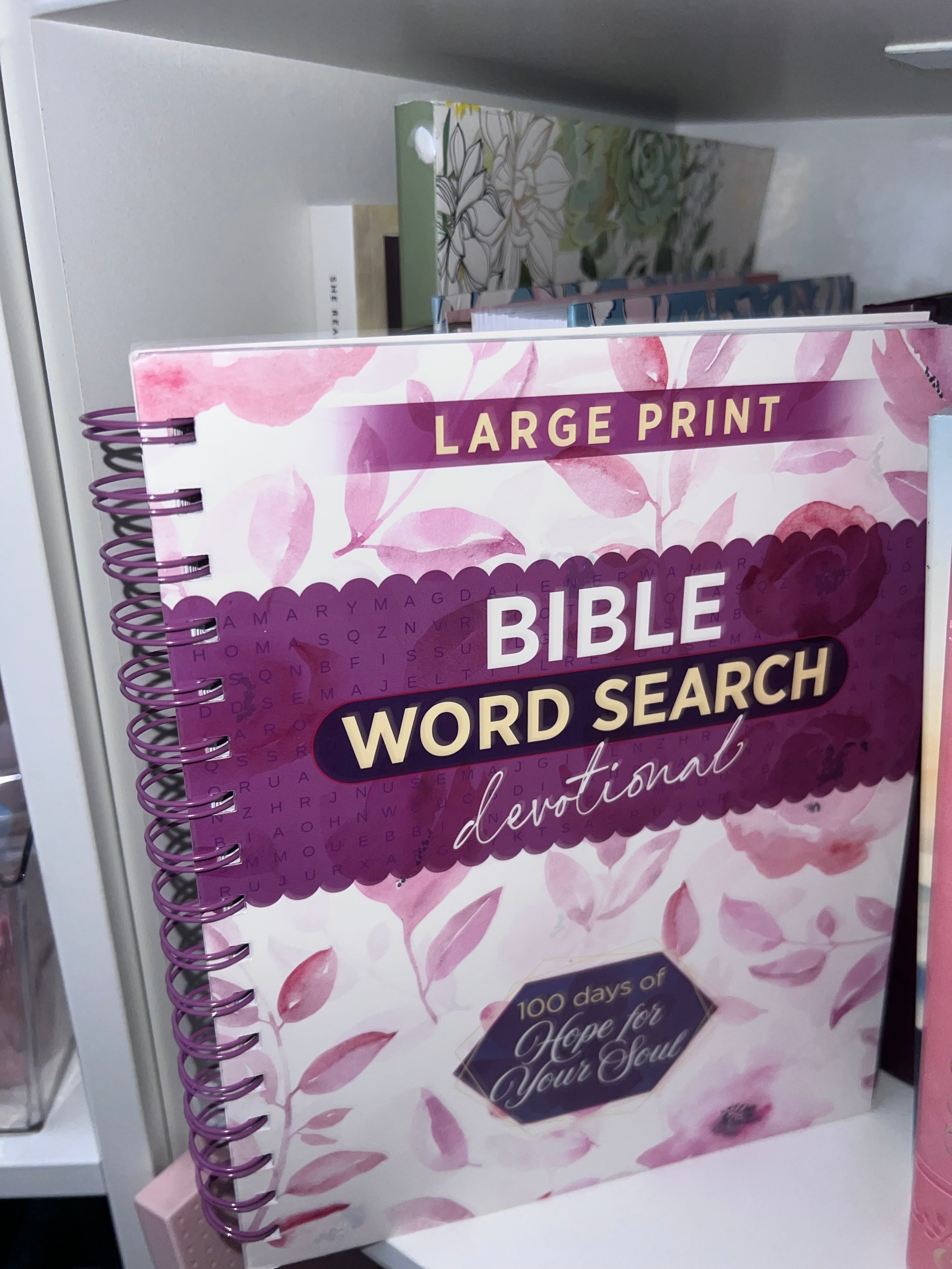 Bible Word Search