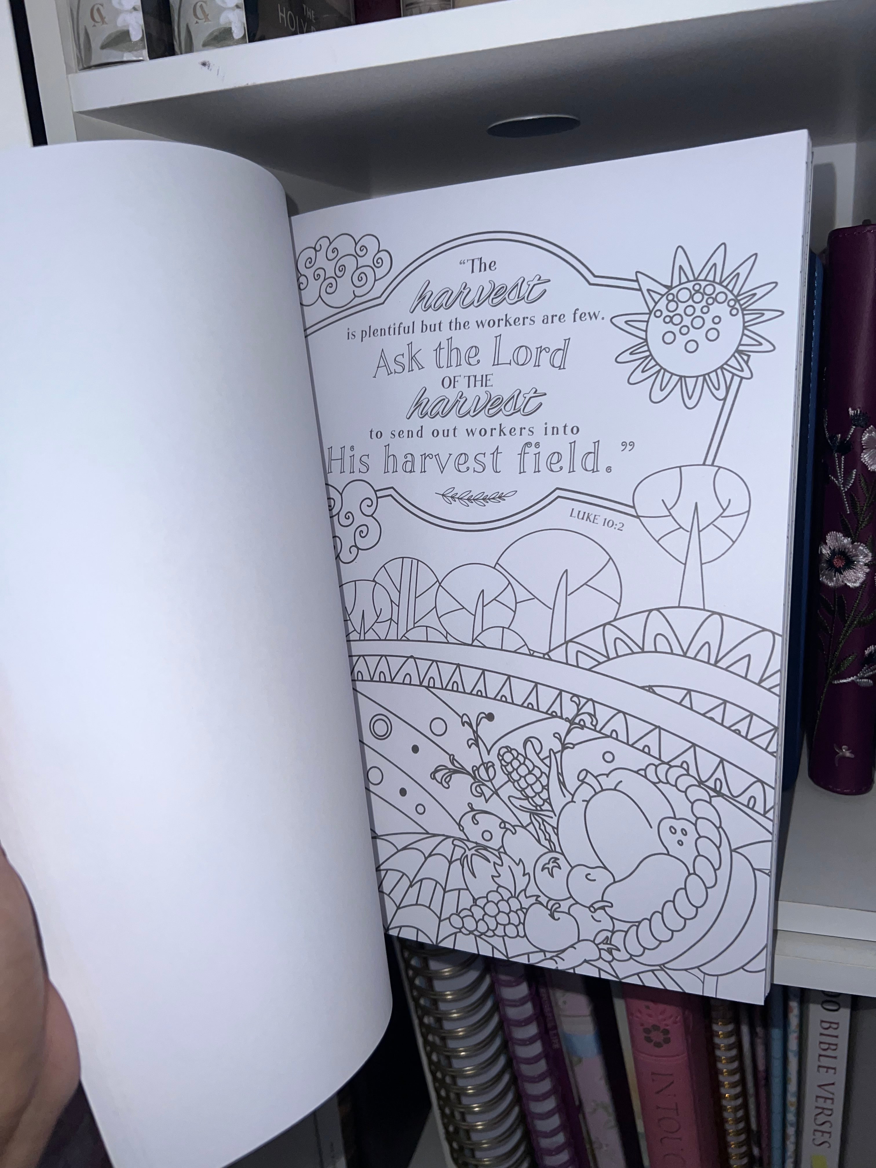 Color the words of Jesus