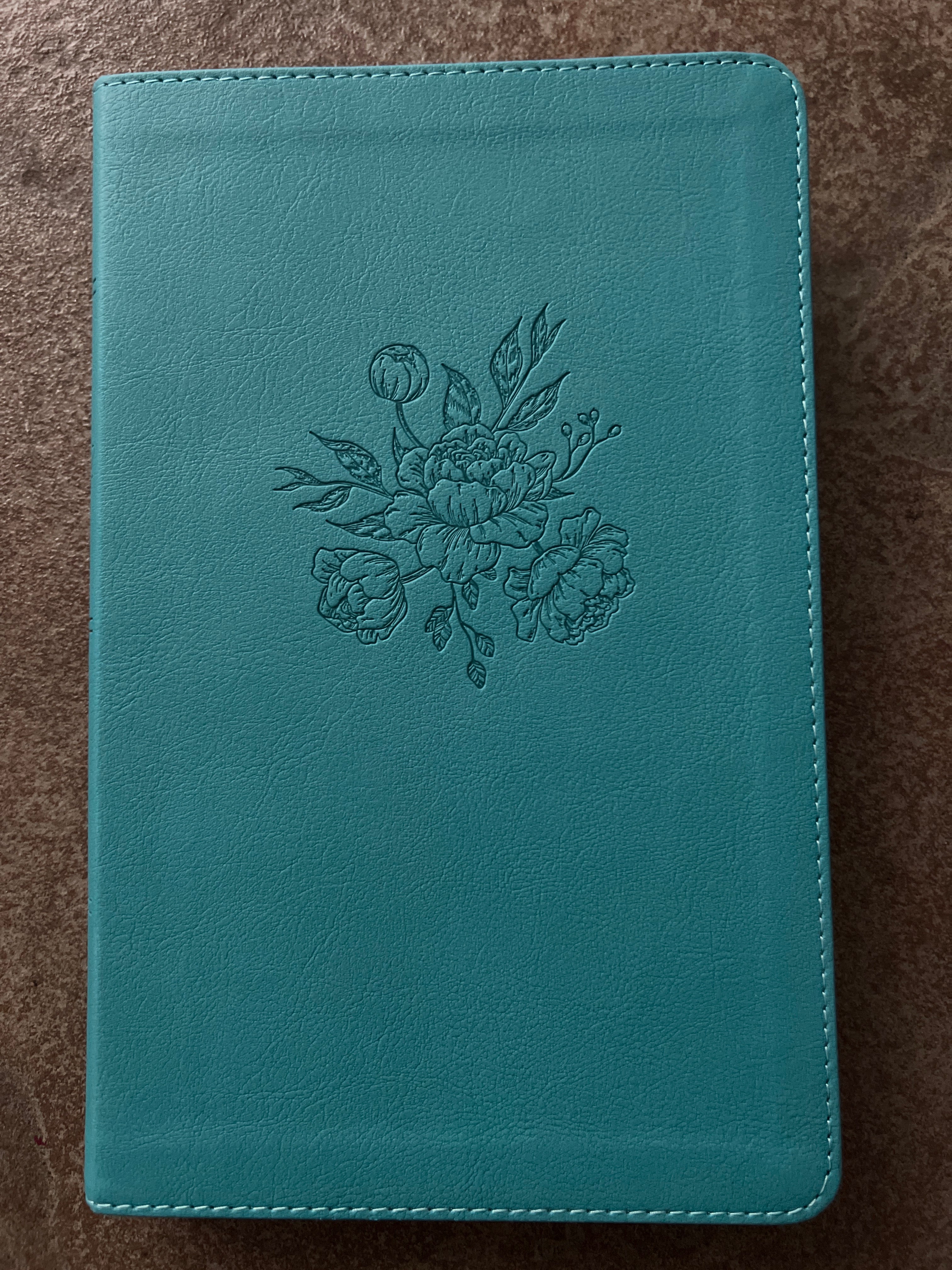 Busy Mom’s Bible