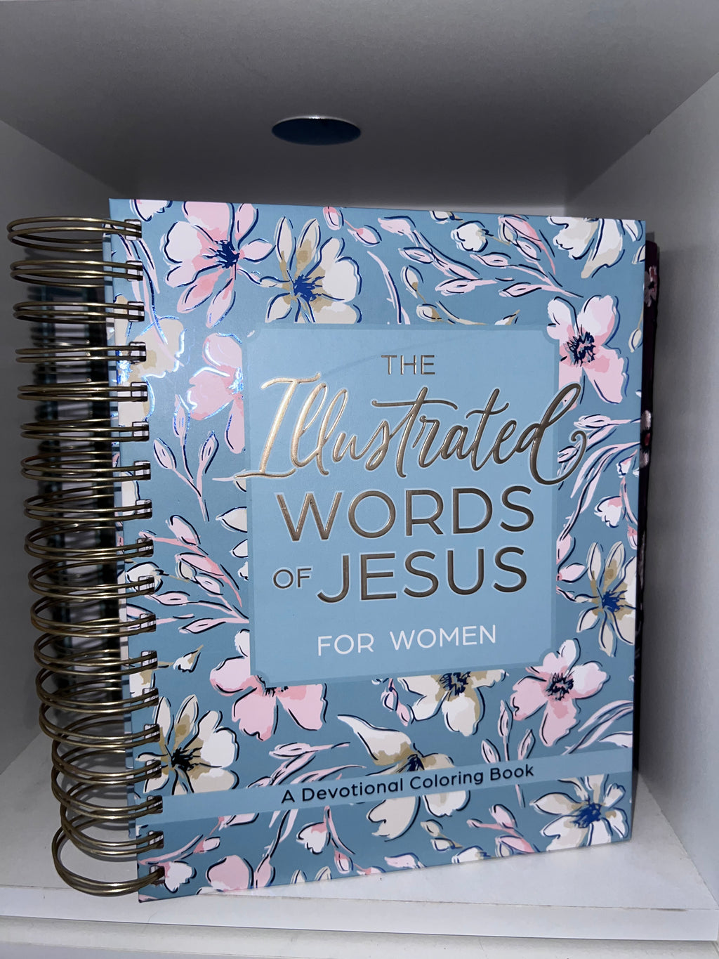 The illustrated words of Jesus