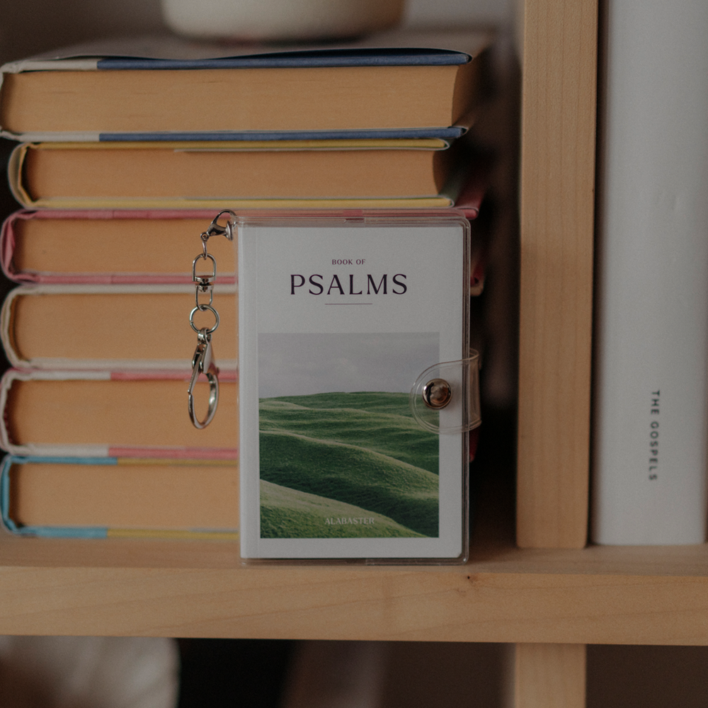 Mini Books