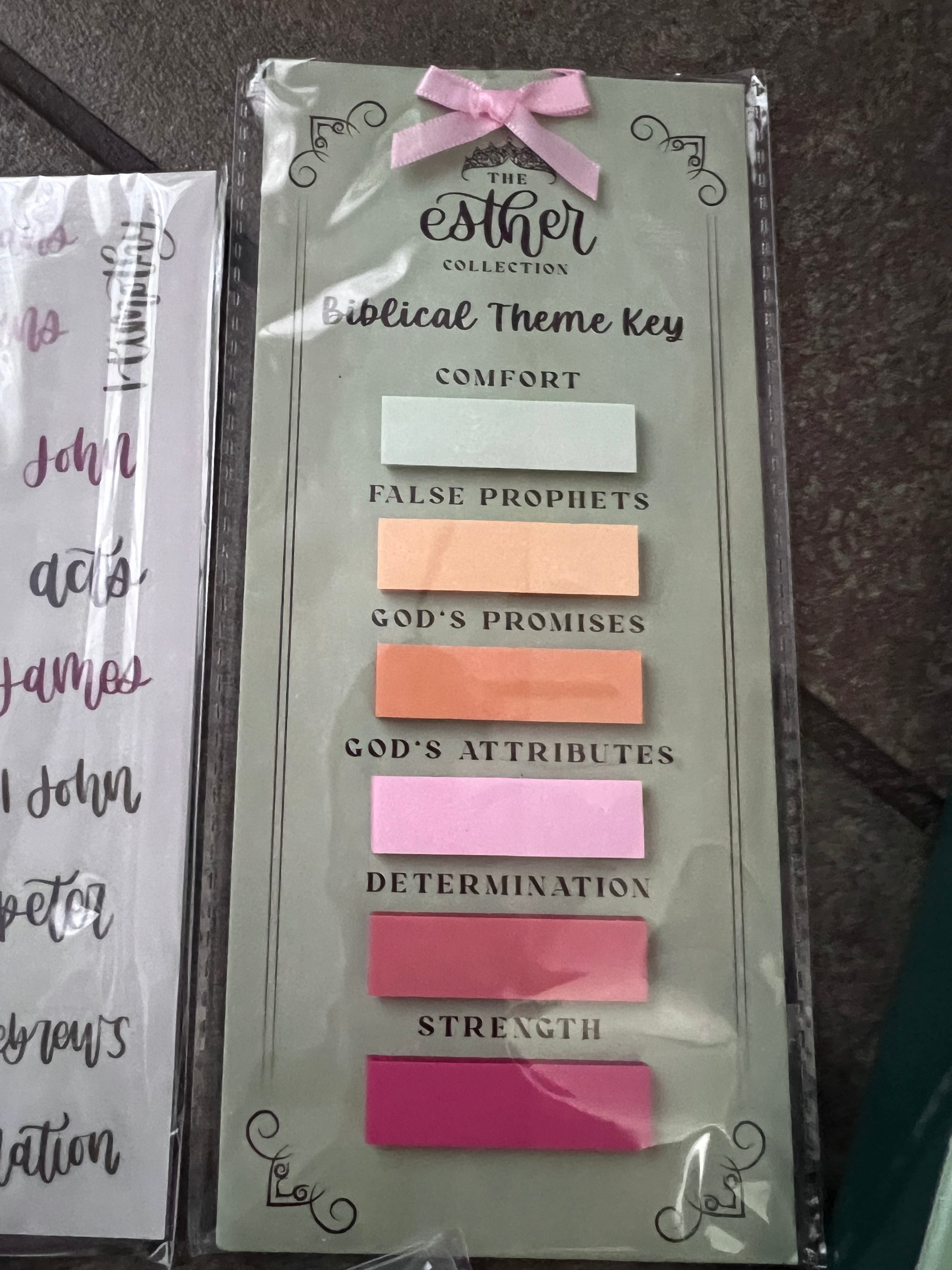 Esther Bible Journaling Kit
